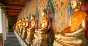 Read more about the article Cinema of China (China)